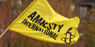 Amnesty International Distinguishes U.S. Critique from Ukraine’s Defence Needs