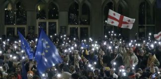 Georgian Government’s European Integration Stance Mirrors Ukraine’s Past Challenges
