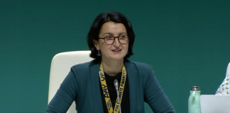 Azerbaijan Sets $250bn Annual Climate Finance Target in COP29 Draft Agreement