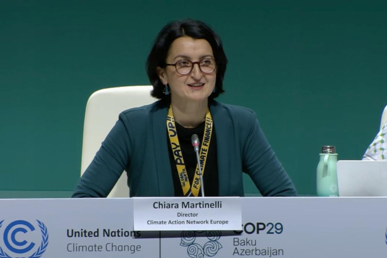 Azerbaijan Sets $250bn Annual Climate Finance Target in COP29 Draft Agreement