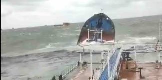 Greenpeace Warns of Major Environmental Disaster Following Russian Tanker Oil Spill