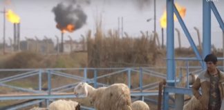 Iran’s Energy Crisis Shuts Down Daily Life and Industry