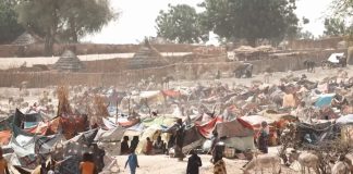 Humanitarian Crisis Deepens as Sudan Conflict Drives Mass Exodus to South Sudan Sudan
