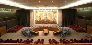 United Nations Security Council