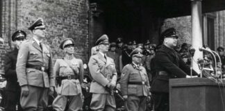 Dutch Archive Reveals Names of Suspected WWII Nazi Collaborators Dutch Archive Reveals Names of Suspected WWII Nazi Collaborators