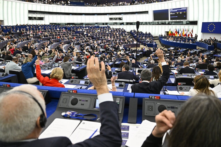 European Parliament