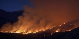 Southern Europe Burns: Mercury Hits 46°C as Wildfires and Health Alerts Sweep the Continent Southern Europe