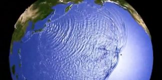 Tsunami Waves Strike Hawaii as Residents Urged to Take Immediate Shelter Tsunami