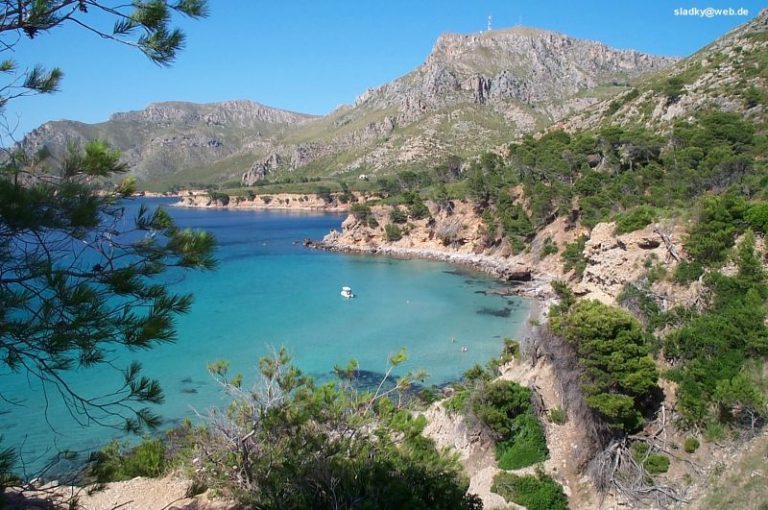 Balearic Islands Sound Alarm Over Soaring Irregular Migration From North Africa Balearic Islands