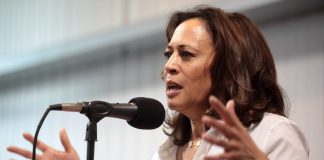 Kamala Harris Eyes 2028 Comeback: The Democrats’ Divided Future and the Ghosts of 2024 Kamala Harris