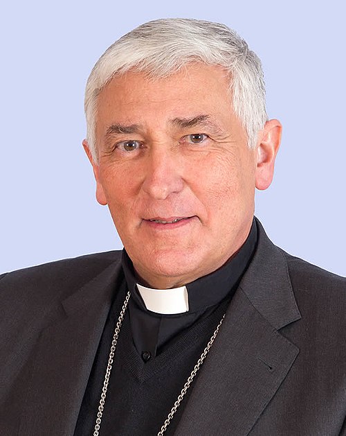 Pope Leo XIV accepts resignation of Spanish bishop under abuse investigation