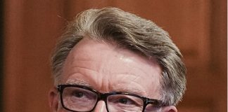 Epstein-Linked Scandal: Former Ambassador Mandelson Arrested and Released on Bail Mandelson