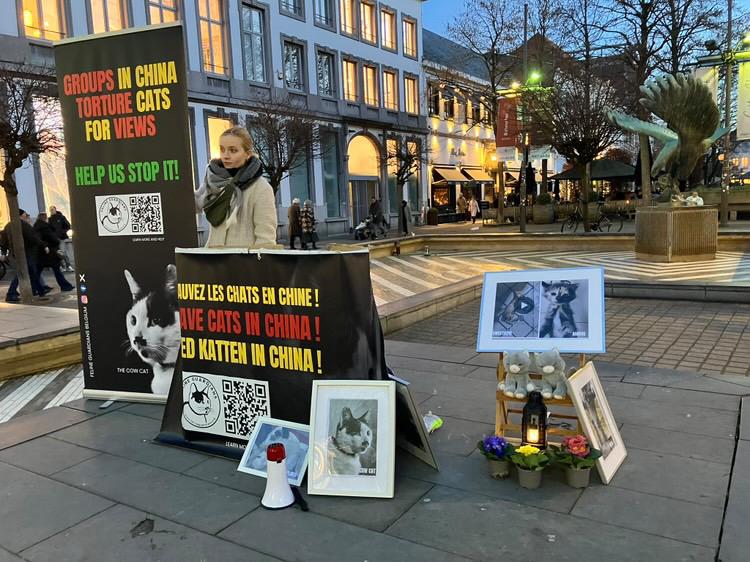 Pushing the Boundaries of Cruelty: On Demand, Per Click — by Lena Anna Kuklinska