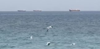 Hormuz Oil Flows Resume as Tankers Go Dark After Ship Attacks