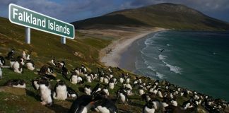 Falklands
