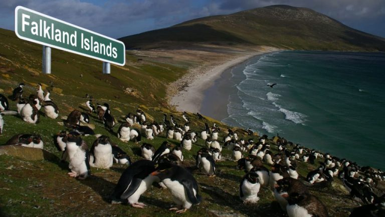 Falklands