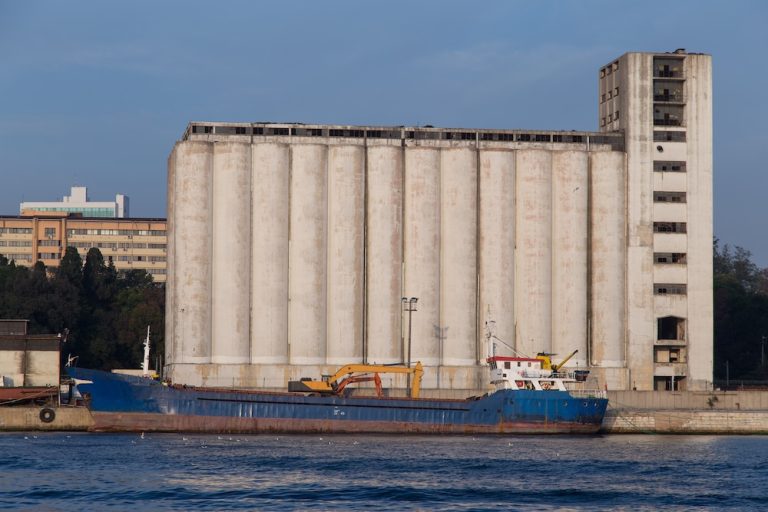 Ukraine Says Grain Vessel Will Not Unload in Israel After Legal and Diplomatic Pressure