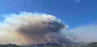 Wildfire chaos in France is a warning Europe can no longer ignore Wildfire