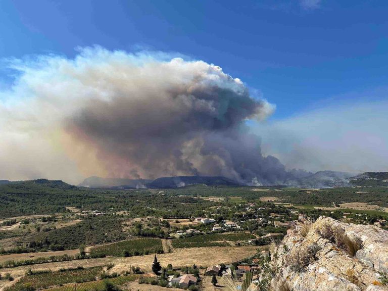 Wildfire
